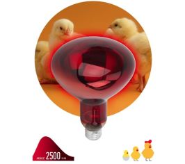 Освещение: лампочки, прожекторы, светильники