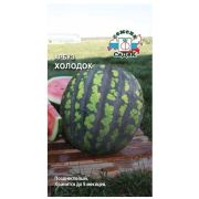 Семена арбуза Холодок (Евро, 1)