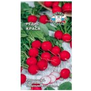 Семена редиса Краса (Евро, 3)