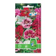Семена цветов Гвоздика Веста (вид китайская, смесь цветов) ДУ (Евро, 0,1)