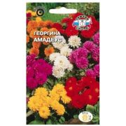 Семена цветов Георгина Амадеус (смесь цветов) (Евро, 0,15)