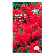Семена цветов Сальвия Скарлет пикколо (блестящая, низкорослая, красная) (Евро, 0,1)