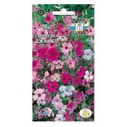 Семена цветов Смолевка Джамбо (небесная роза, смесь цветов) (Евро, 0,5)