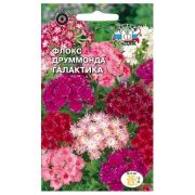 Семена цветов Флокс Друммонда Галактика (звездчатая, смесь цветов) (Евро, 0,25)