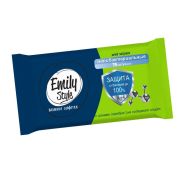 Салфетки влажные Emily Style антибактериальныев упаковке 120 шт