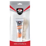 Комплект паста уплотнительная PASTUM GAZ туба 25г + лён 7гр (пакет)