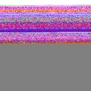 Кисть-ракля, 30 х 70 мм, натуральная щетина, пластмассовый корпус, пластмассовая ручка MTX